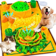 Large Interactive Snuffle Mat for Pets