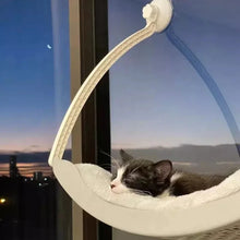 Ergonomic Hanging Cat Beds