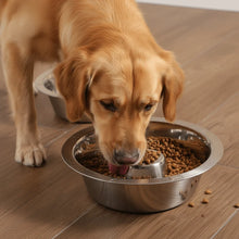 Stainless Steel Slow Feeder Bowl for Dogs & Cats