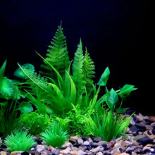 Fish Tank Grass Ornament