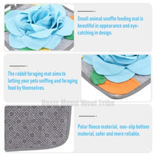 Rabbit Pet Feeding Training Pad