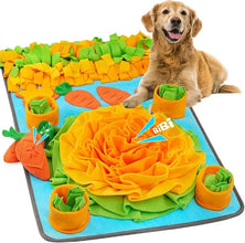 Large Interactive Snuffle Mat for Pets