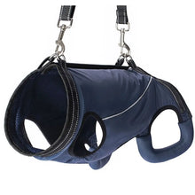 Dog Support Lift Harness