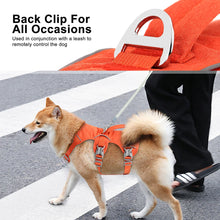 Escape Proof Nylon Dog Harness