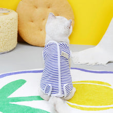 Cat Recovery Clothes