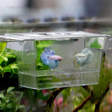 Acrylic Fish Breeding and Isolation Box