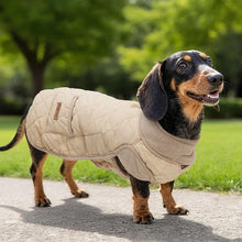 Quilted Winter Jacket For Small Dogs