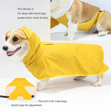 Lightweight Dog Raincoat