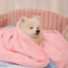 Pet Winter Thick Blanket