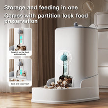 Automatic Pet Water Dispenser & Feeding Bowl