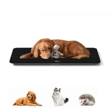 Large Pet Scale for Cats & Dogs