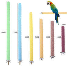 Colourful Parrot Claw Stick