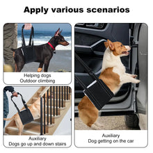 Dog Support Harness for Back Leg