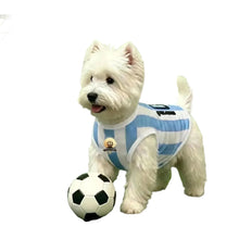 Breathable Dog Football Vest