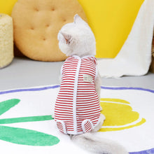 Cat Recovery Clothes