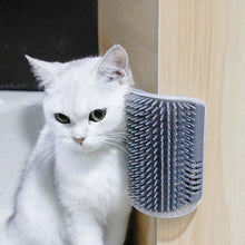 Self-Grooming Brush & Scratcher