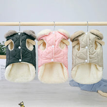 Warm Winter Jacket for Dogs & Cats