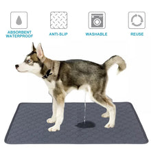 Pet Special Urinal Pad