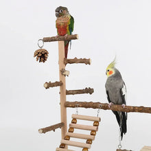 Pepper Wood Parrot Climbing Platform