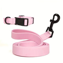 Adjustable Dog Collar and Leash Set for Small Medium Large Dogs