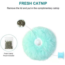 Electric Catnip Training Toy for Cats