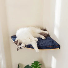 Wall Mounted Wooden Cat Tree