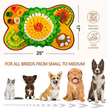 Large Interactive Snuffle Mat for Pets