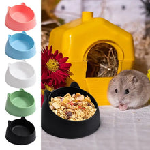 Food and Water Bowl for Rabbits