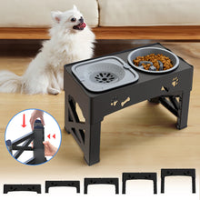 3-in-1 Pet Feeder