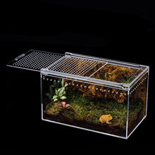 Reptile Anti-Escape Breeding Box