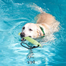 Floating Dog Fetch Toy