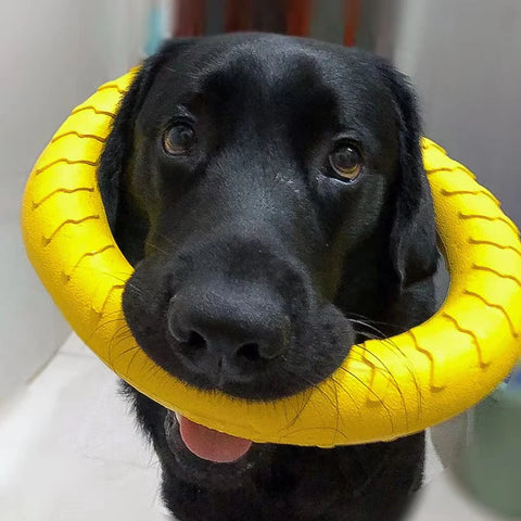 Dog Chewing Ring Toys
