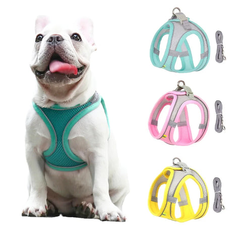 Reflective Pet Harness & Leash Set for Small Dogs & Cats