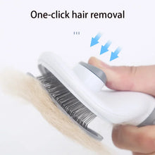 Stainless Steel Brush for Pets