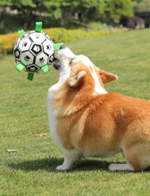 Interactive Dog Football Training Ball & Chew Toy