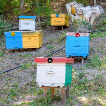 Beehive Tags