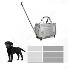 Foldable Pet Carrier with Strollers