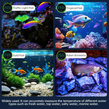 LED Display Fish Tank Thermometer