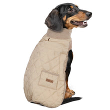 Quilted Winter Jacket For Small Dogs
