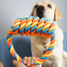 Braided Pull Ring Rope Toy for Large Dogs