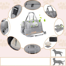 Pet Approved Travel Carrier Bag