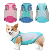 Reflective Cooling Pet Vest