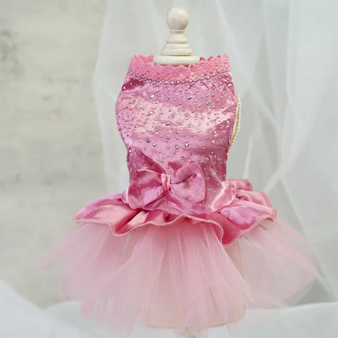 Tulle Lace Skirt Pet Apparel