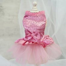 Tulle Lace Skirt Pet Apparel