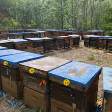 Beehive Tags