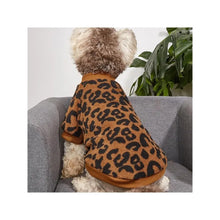 Leopard Print Winter Sweater for Dogs