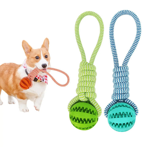 Pet Tooth Cleaning & IQ Treat Ball