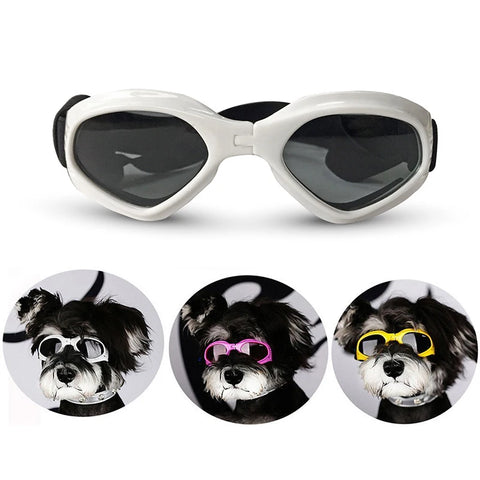 Fashionable Sunglasses for Pets