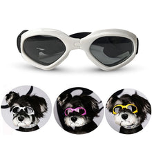 Fashionable Sunglasses for Pets