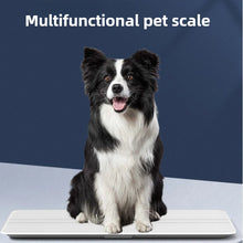 Large Pet Scale for Cats & Dogs